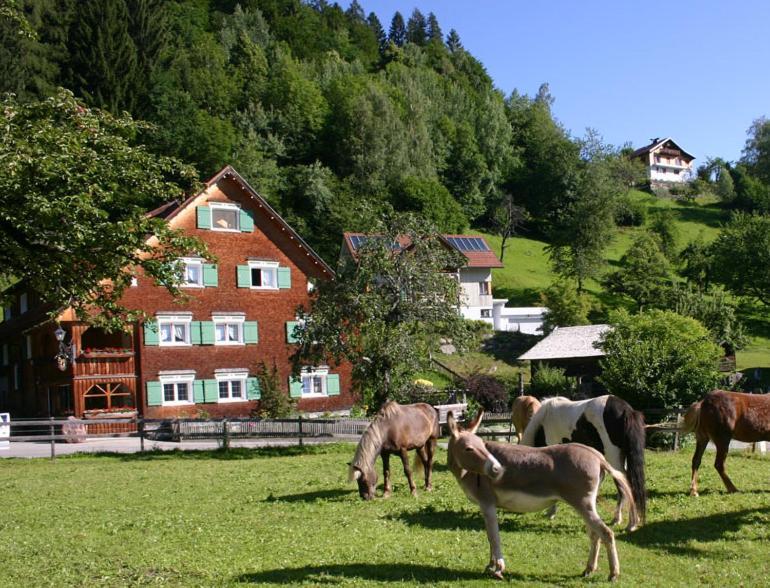 Hotel Gasthaus Schaefle Bürserberg Kültér fotó